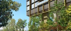 Pinetree Hill (D21), Condominium #458826301